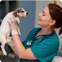 Csapat-Katona Ramóna